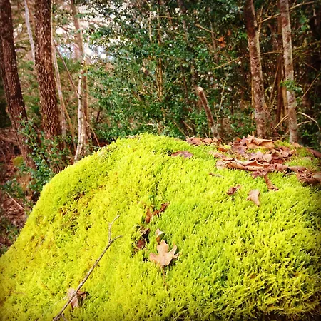 Diamo Hotel Castejón de Sos