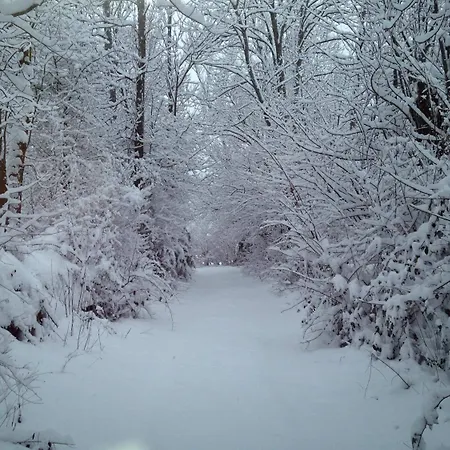 Diamó Castejón de Sos