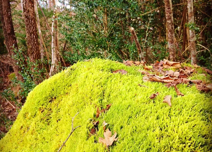 Diamó Szálloda Castejón de Sos