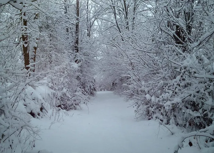 Diamo Castejón de Sos